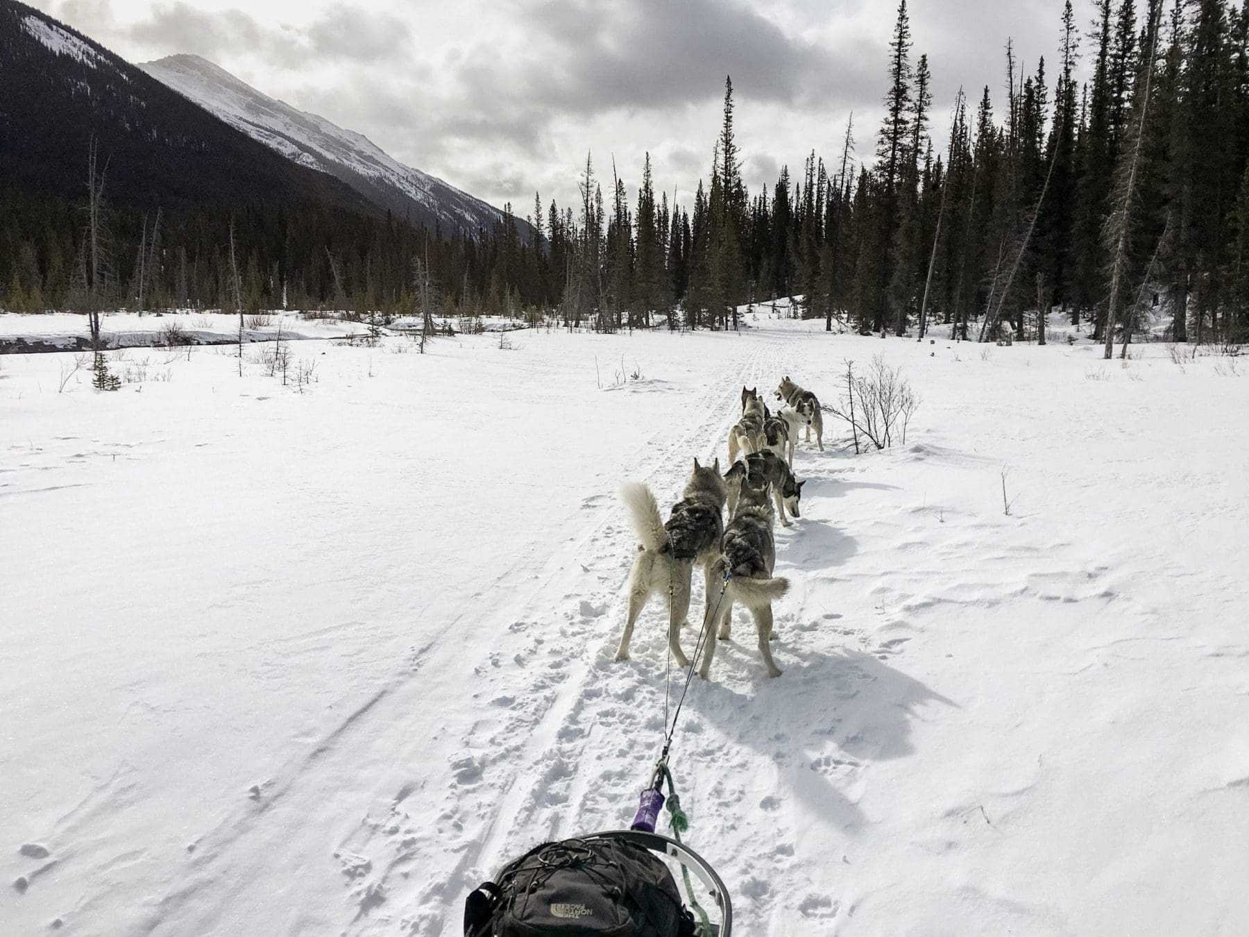 Top 22 Amazing Things To Do In Revelstoke 22 Things to do in Revelstoke