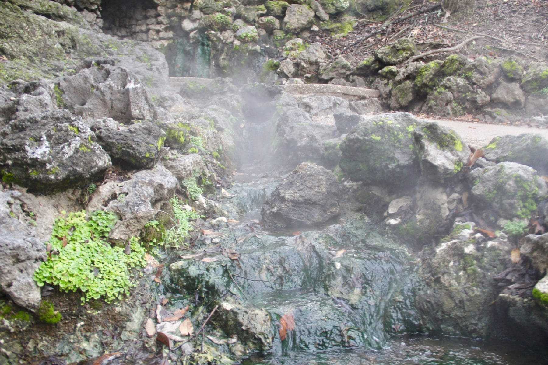 Top 22 Amazing Things To Do In Revelstoke 27 Hot springs