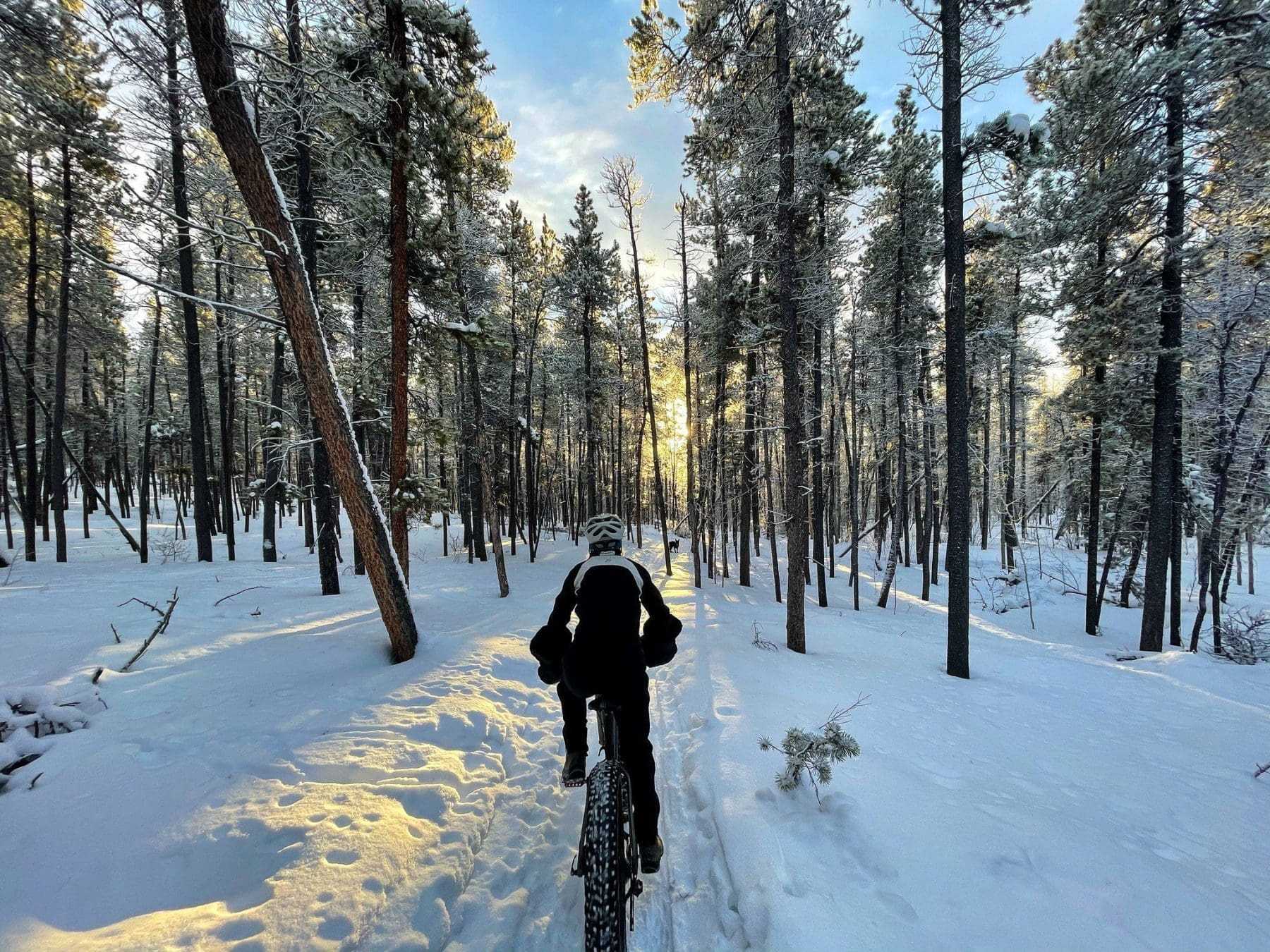 Top 22 Amazing Things To Do In Revelstoke 26 Fat Biking