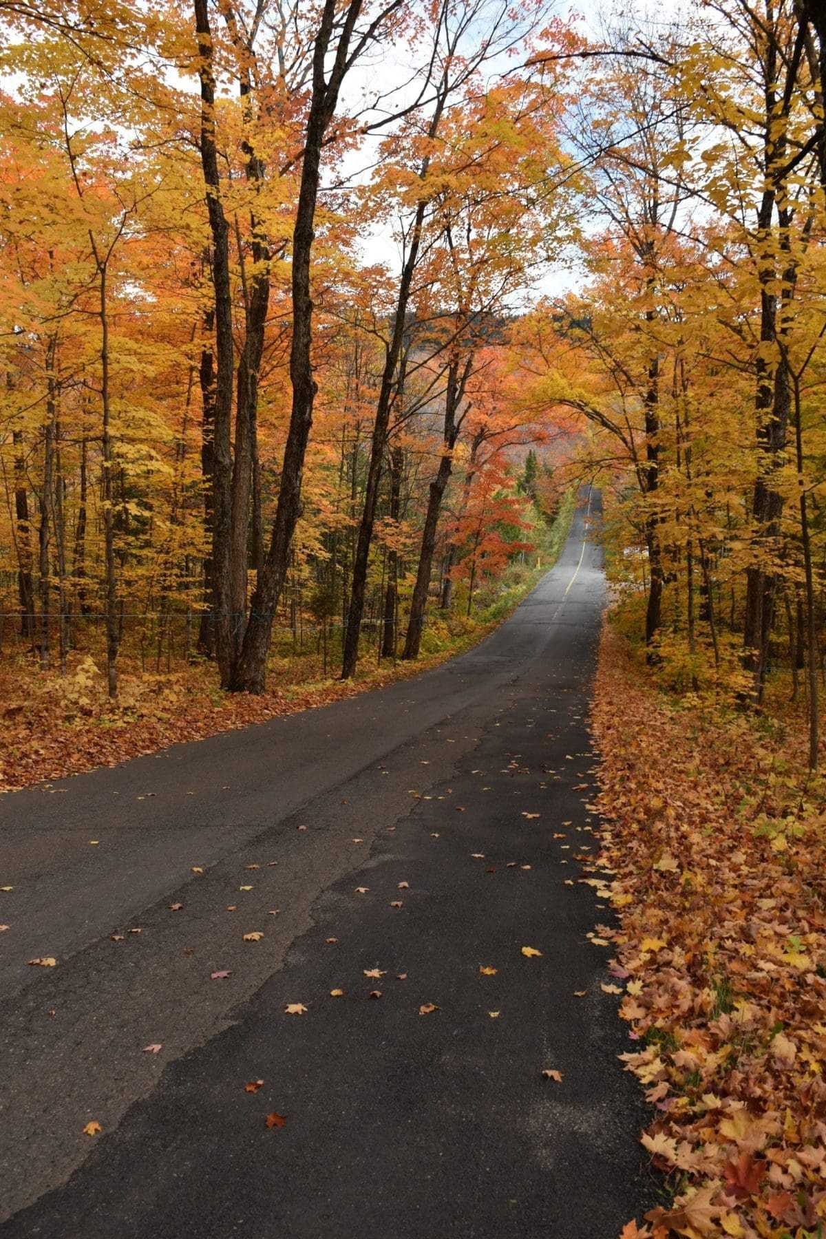 When Does Fall Start In Canada: 7 Must-Do Activities 8 Fall