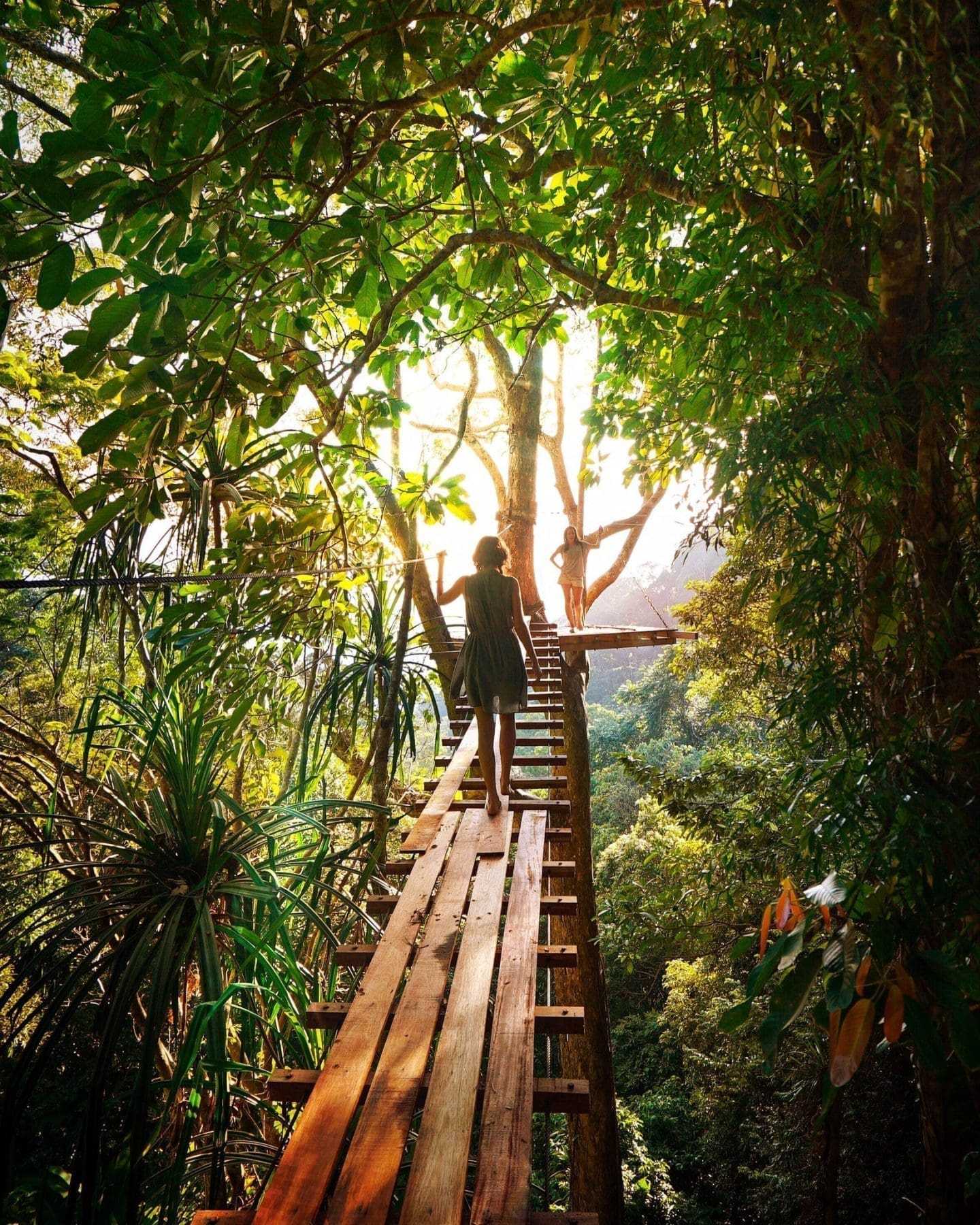 Capilano Suspension Bridge Park: A Complete Guide (2022) 7 treetops adventure capilano suspension bridge and park