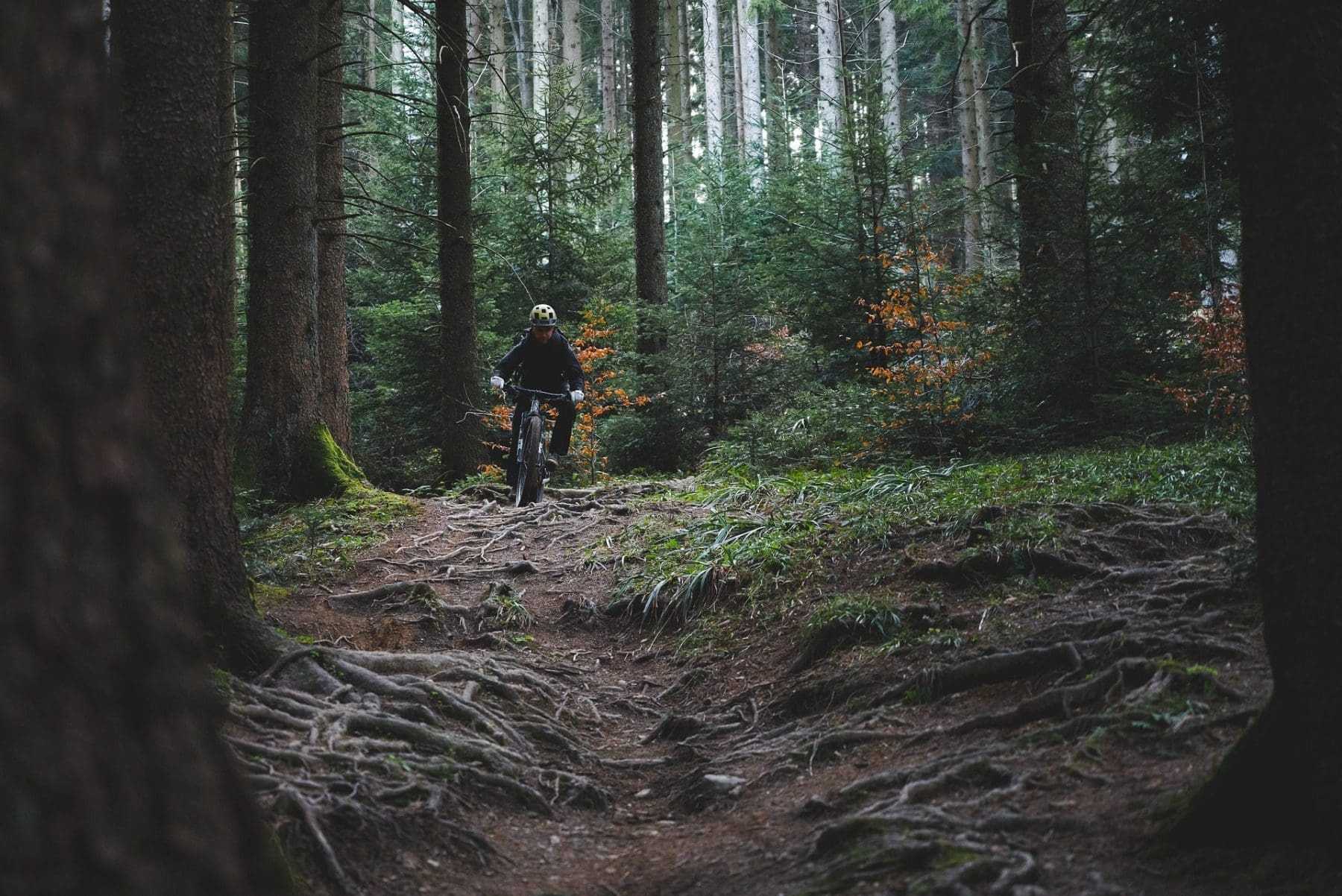 Top 22 Amazing Things To Do In Revelstoke 13 mountain biking
