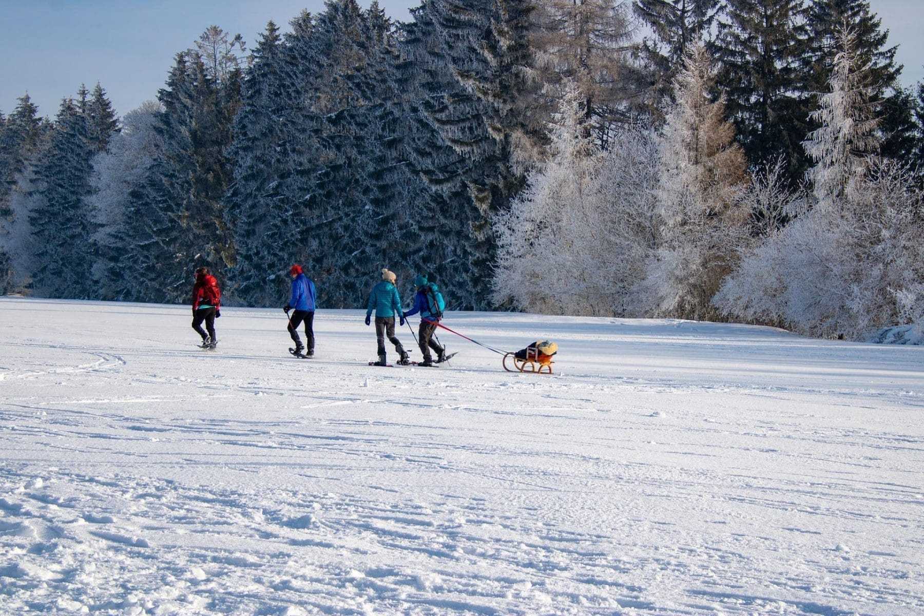 Top 22 Amazing Things To Do In Revelstoke 28 Snowshoeing