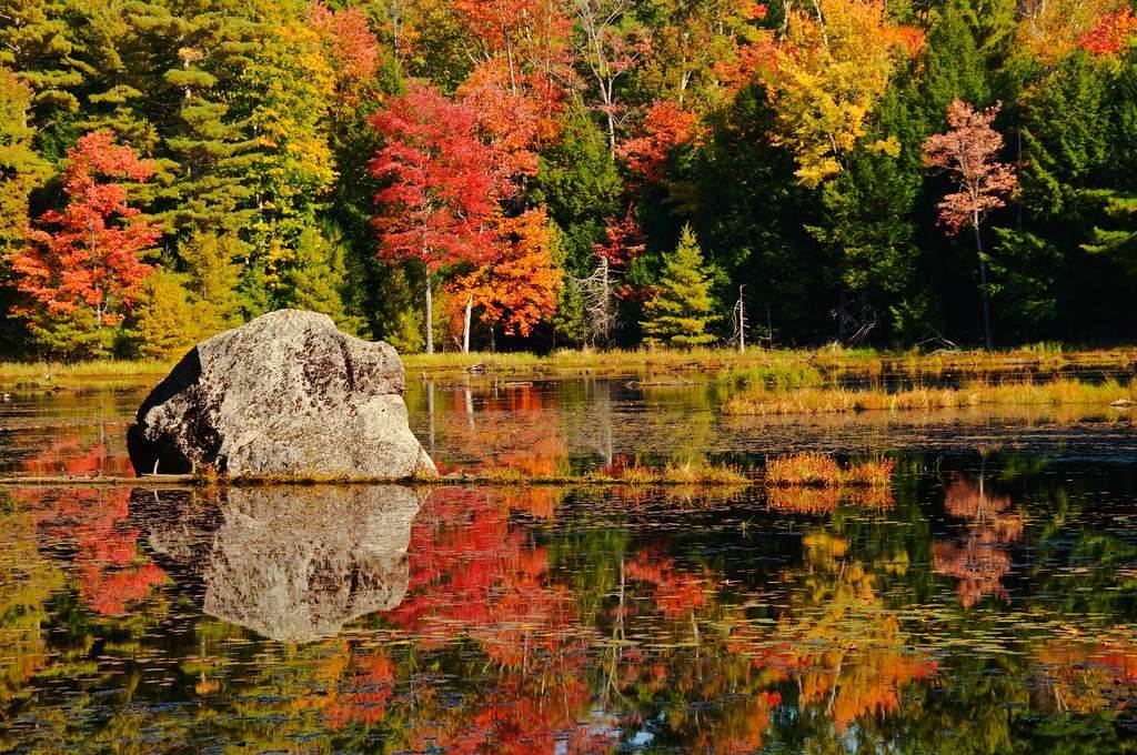 Hardy Lake Provincial Park : The Hidden Gem Of Muskoka