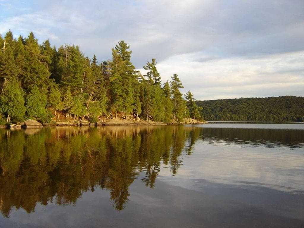 USA vs Canada: How Gambling Can Differ 10 3km short trail