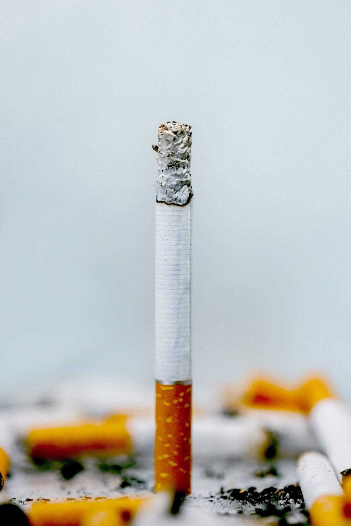 Pine Centre Mall: 8 Riveting Things To Do 9 Cigarette