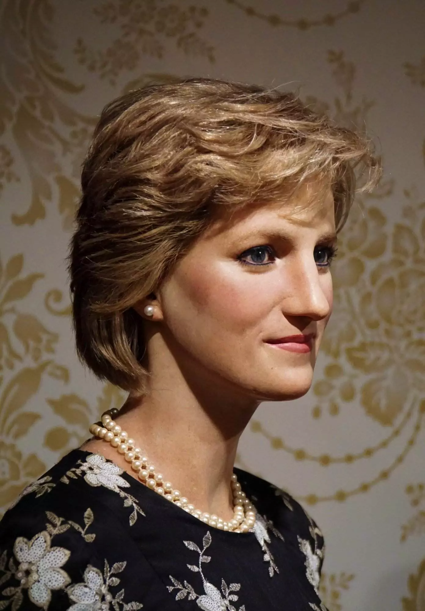 The Unexplained Death of Princess Diana