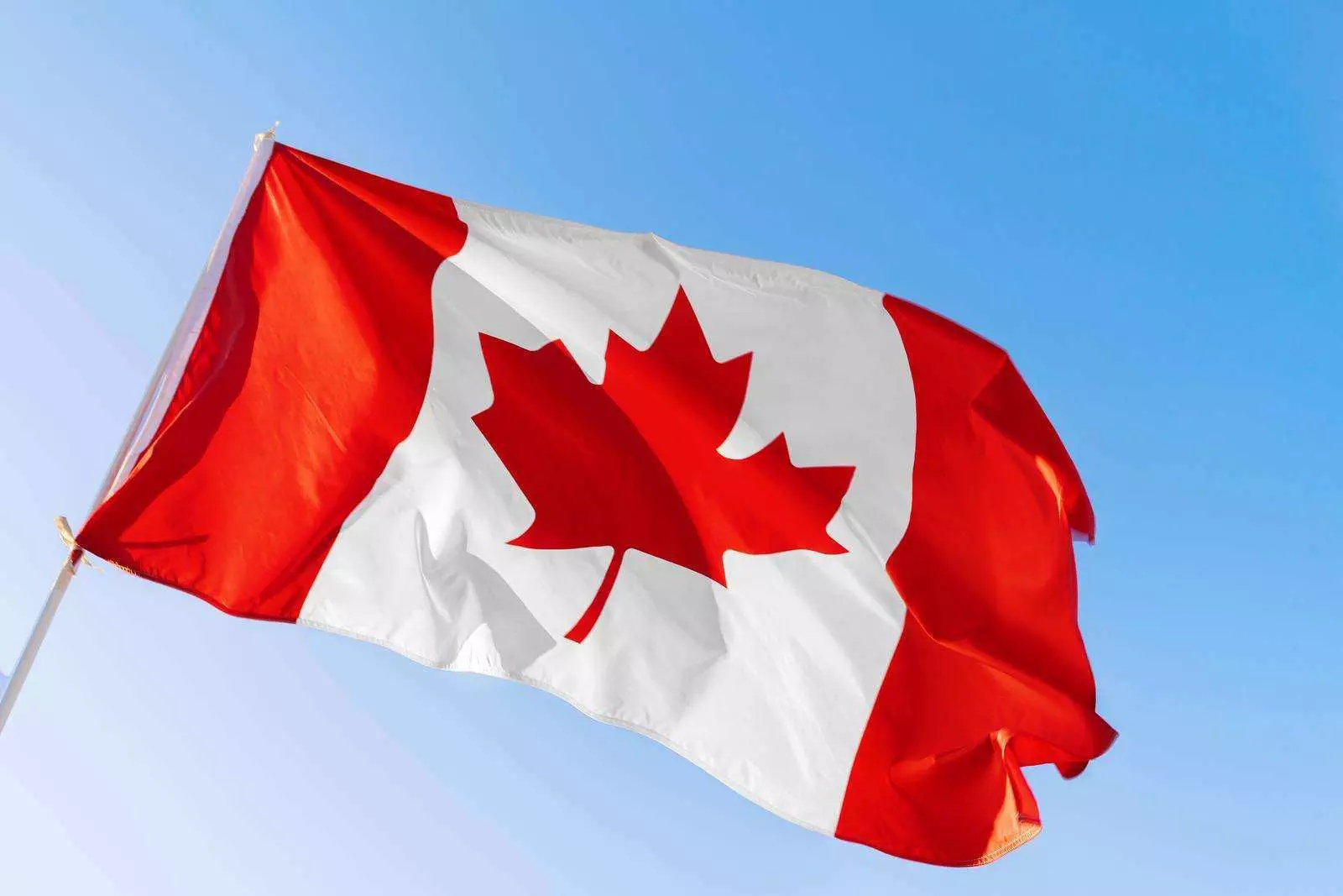 Canada Work Visa - 7 Best Things To Know! 8