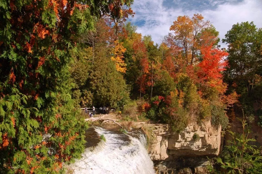 Webster's Falls: 6 Essential Facts About the Iconic Waterfall 8