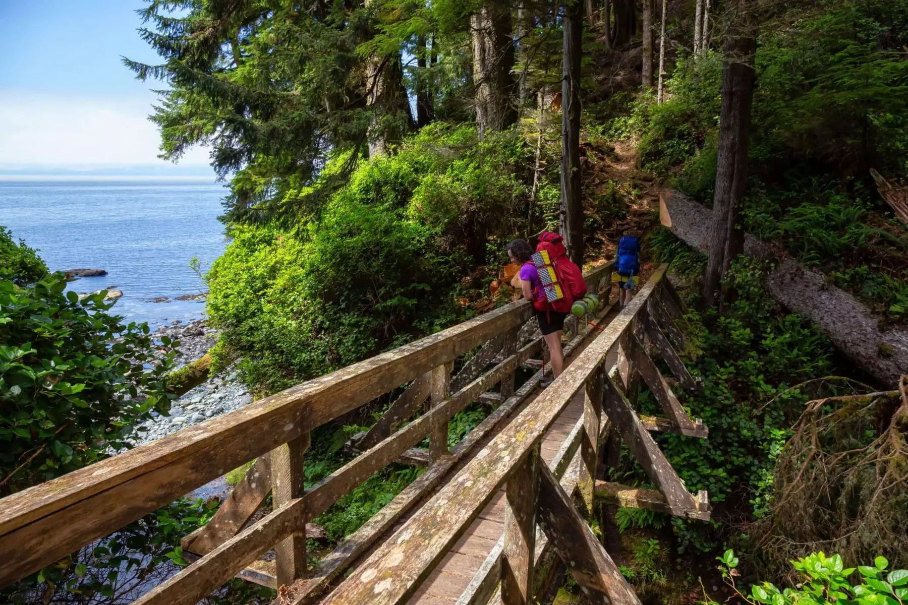 The West Coast Trail - A Spectacular 7 Day Guide! 6