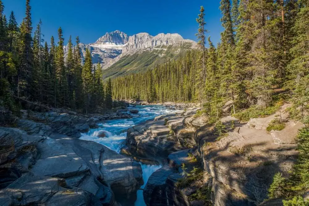 Icefields Parkway - 14 Best Places To Explore! 13