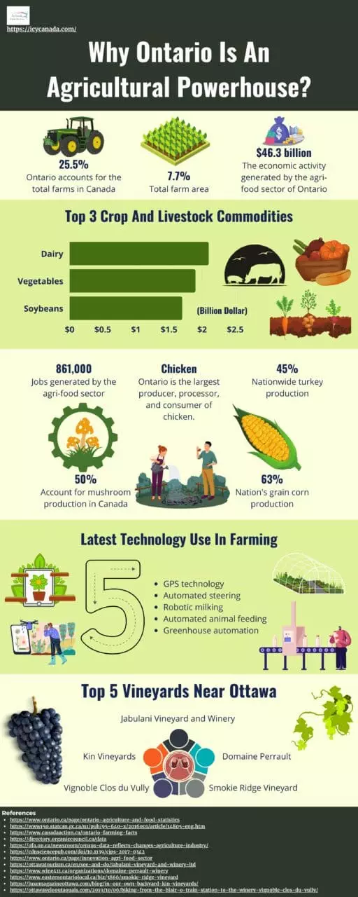 Infographic That Suggests Why Ontario Is An Agricultural Powerhouse