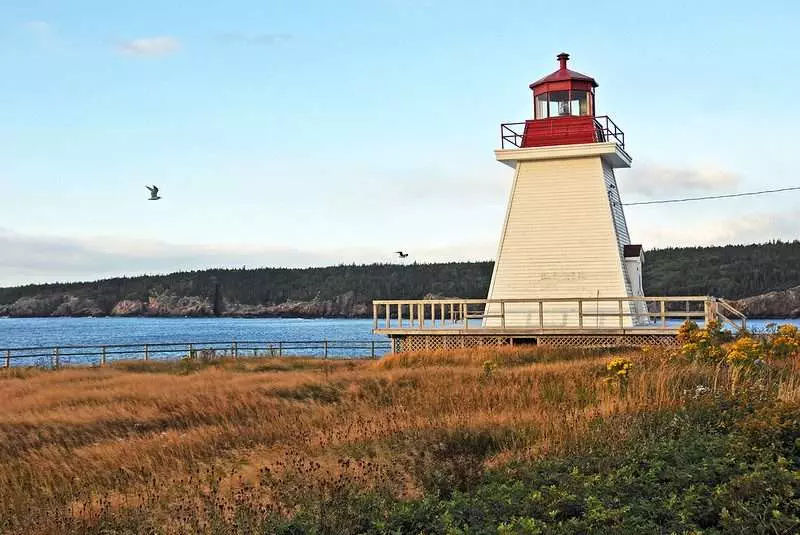 Lighthouse Park - Explore This Beautiful Piece of Nature 8