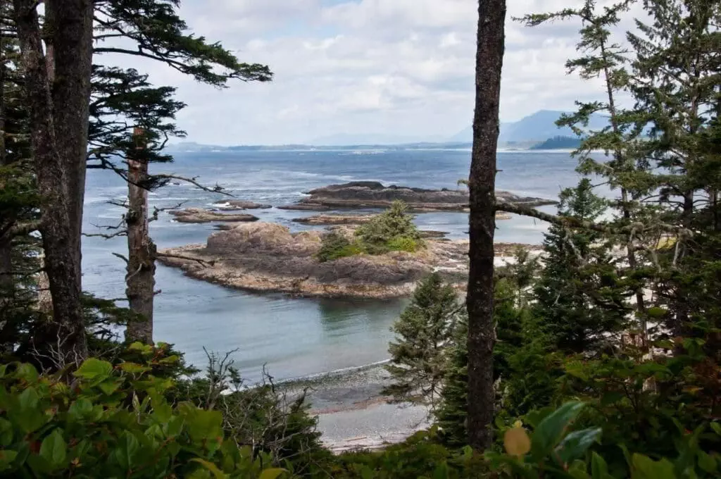 Tofino Camping Grounds - 12 Spectacular Facts! 5