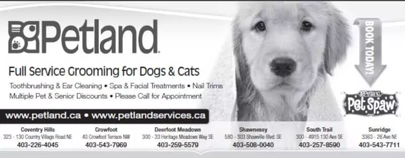 Petland - Pet stores Calgary
