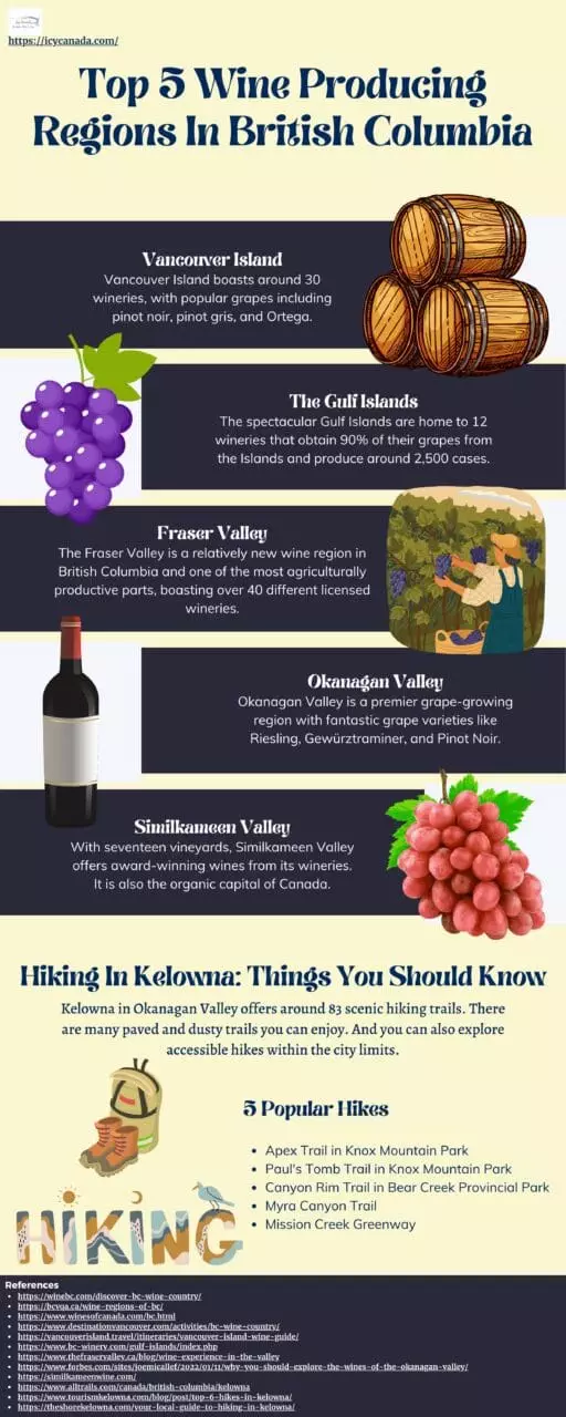 Infographic That Presents Top 5 Wine Producing Regions In British Columbia