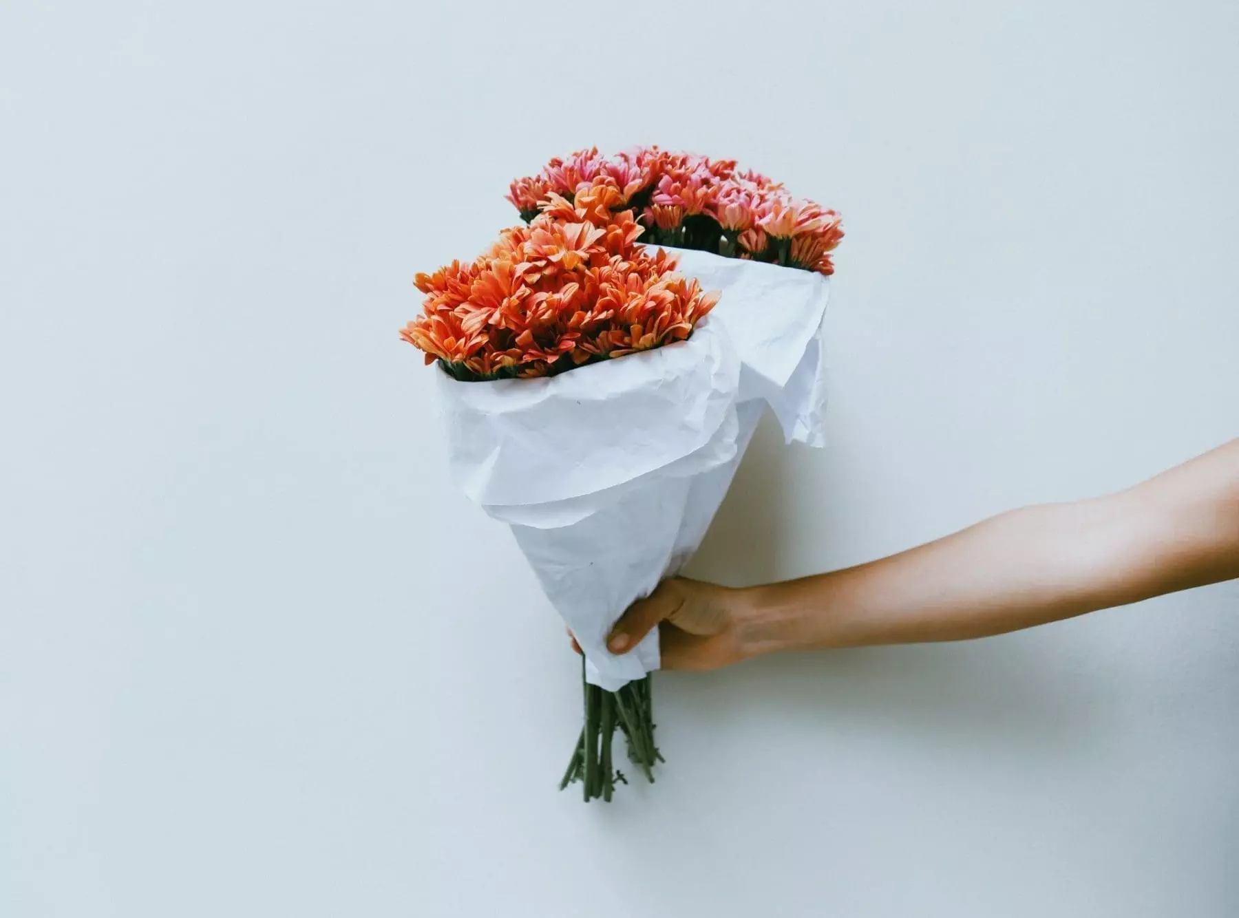 7 Best Options For Flower Delivery Calgary 7