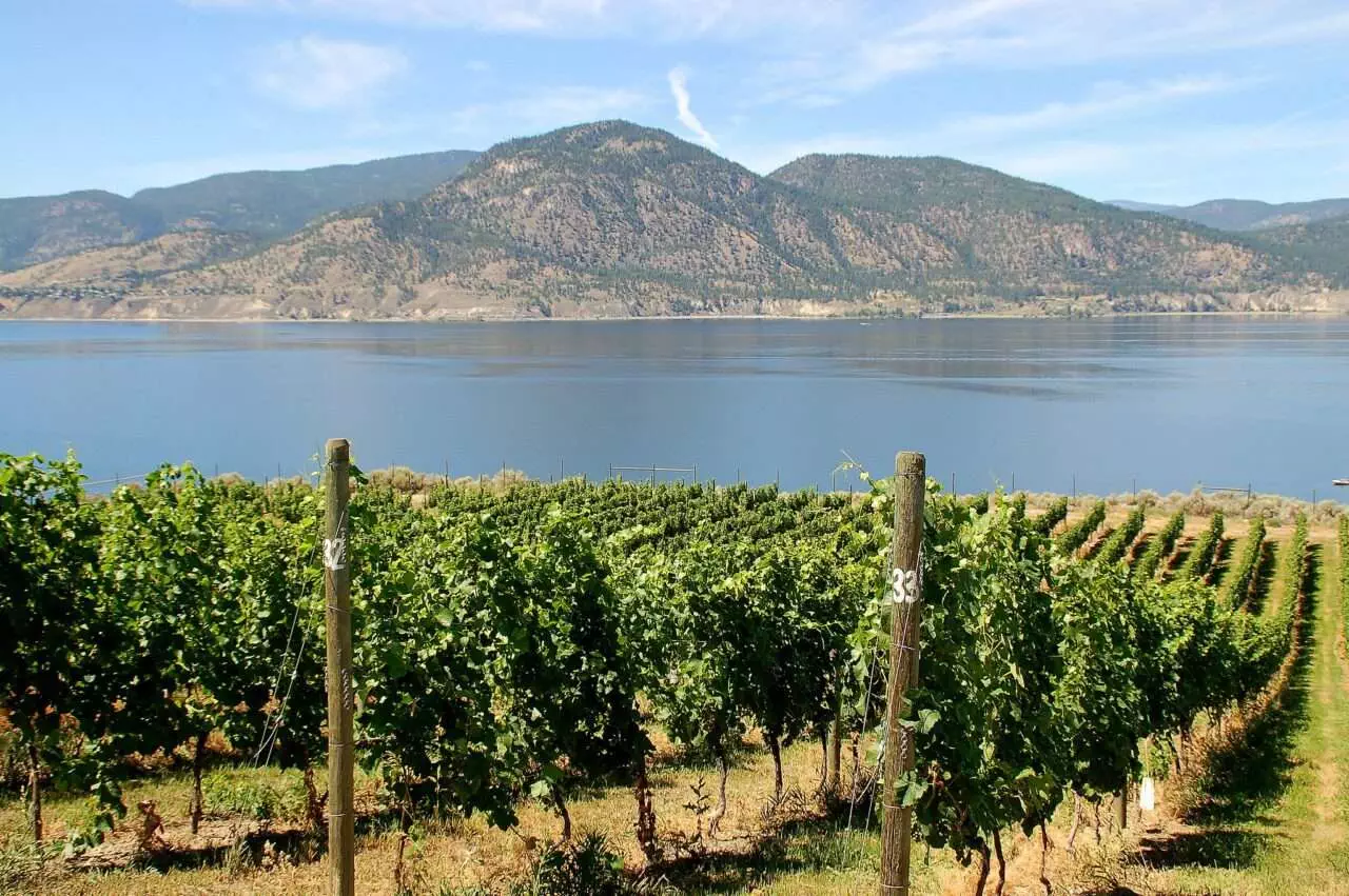 The Okanagan Lifestyle - What to Expect? 6