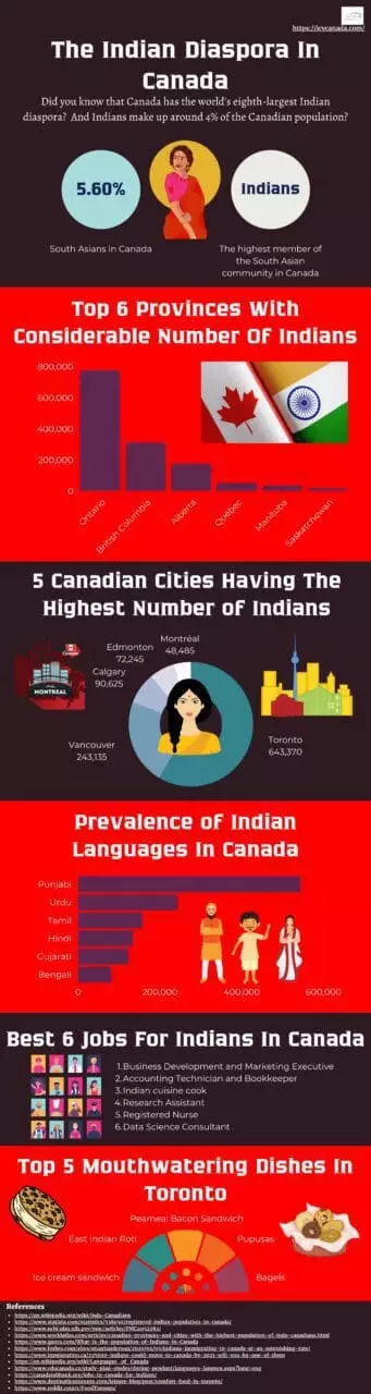 Infographic That Shows The Indian Diaspora In Canada