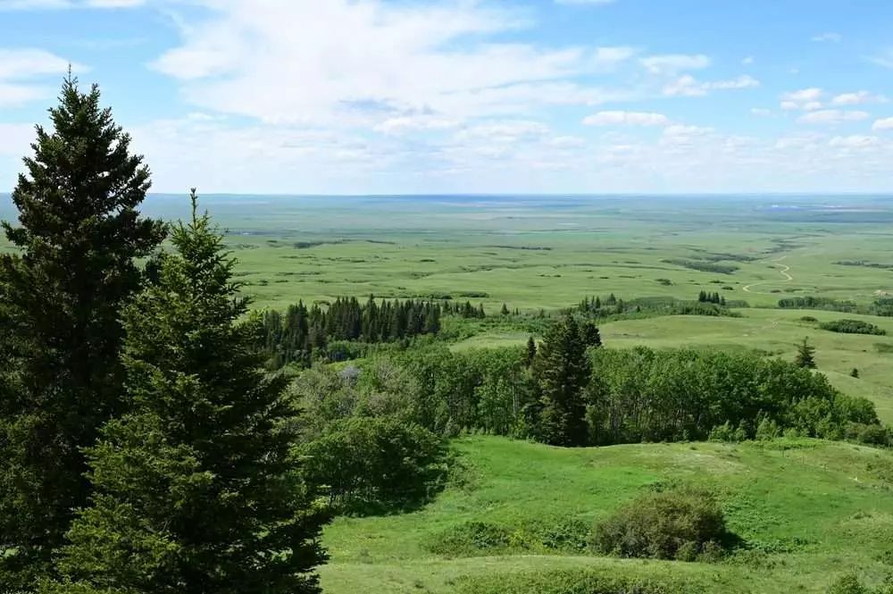 26 Best Things You Can Do at Cypress Hills Provincial Park 6