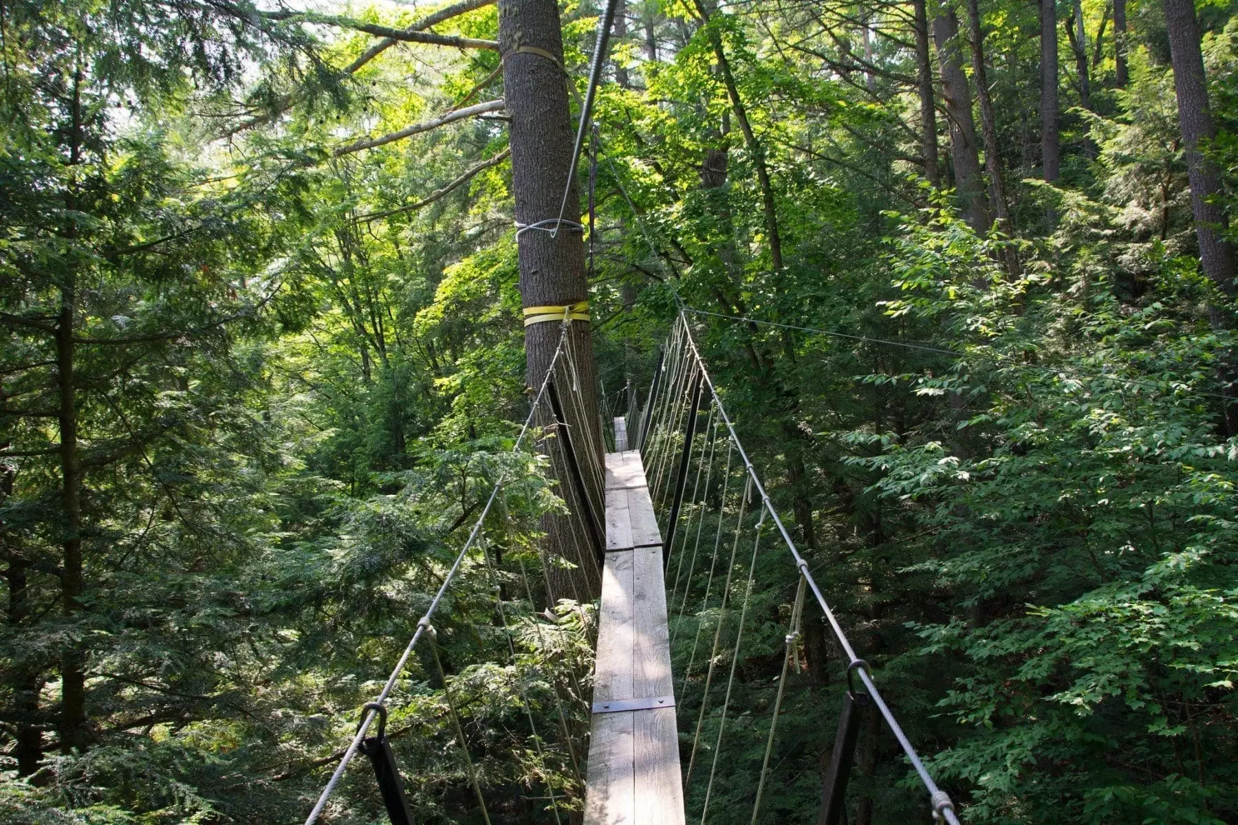 5 must-do activities at Haliburton Forest