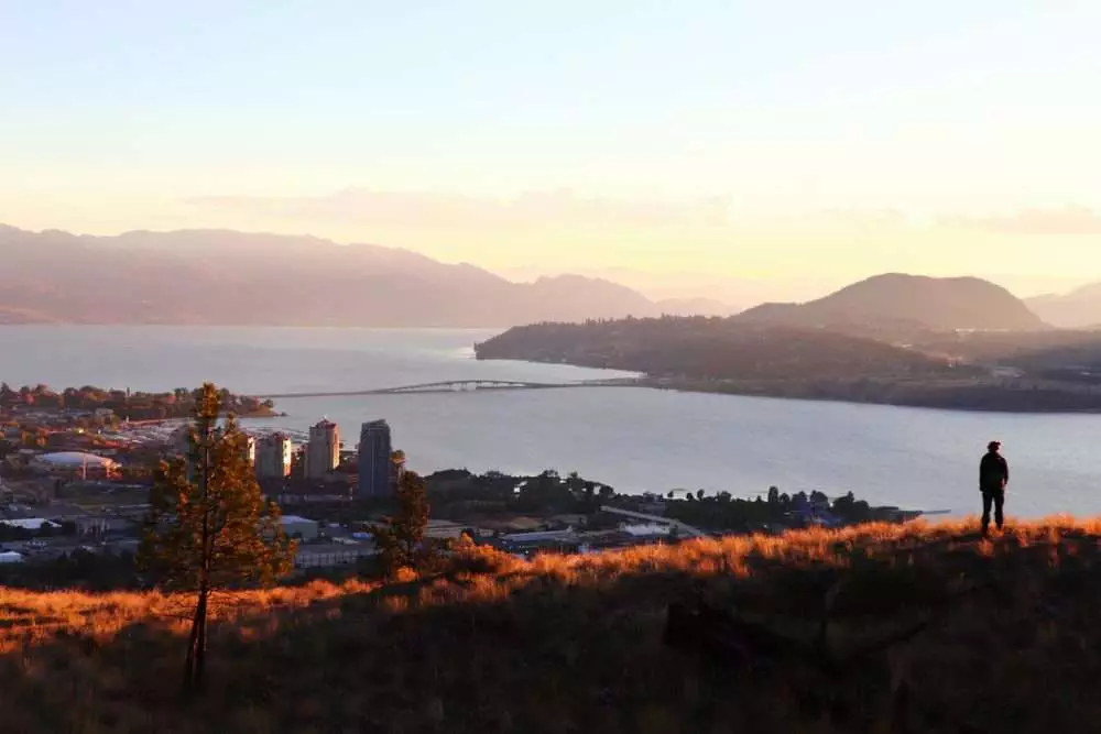 The Best of Okanagan Wineries: An Ultimate Guide 5
