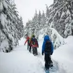 Snowshoeing Vancouver