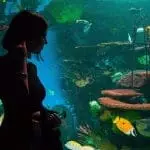 Ripley's aquarium of Canada