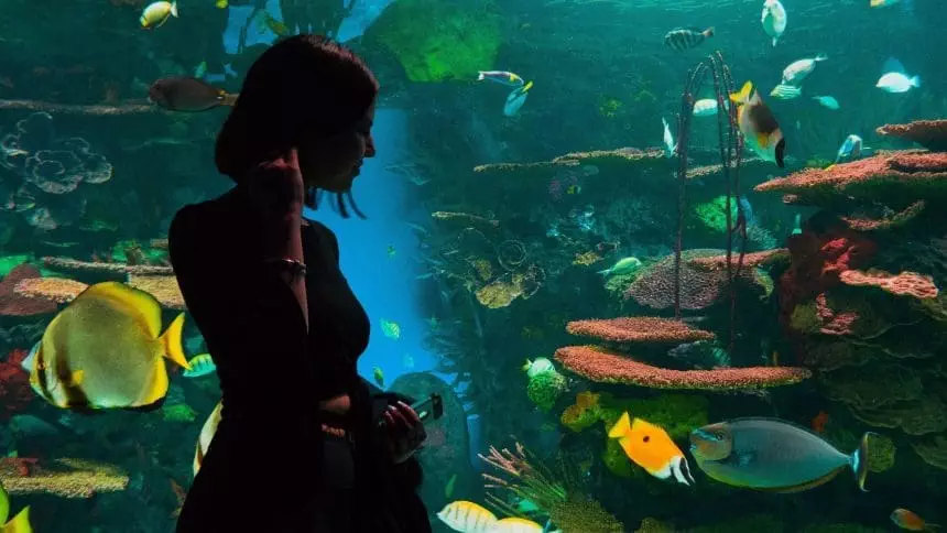 Ripley's aquarium of Canada