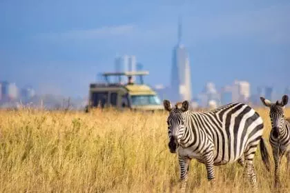 10 Most Famous Safari Animals In The World 7