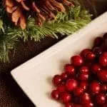 4 Fun Facts About Bala Cranberry Festival 7