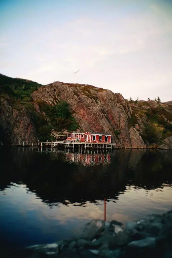 15 Best Things to Do in St. John's, Newfoundland 4