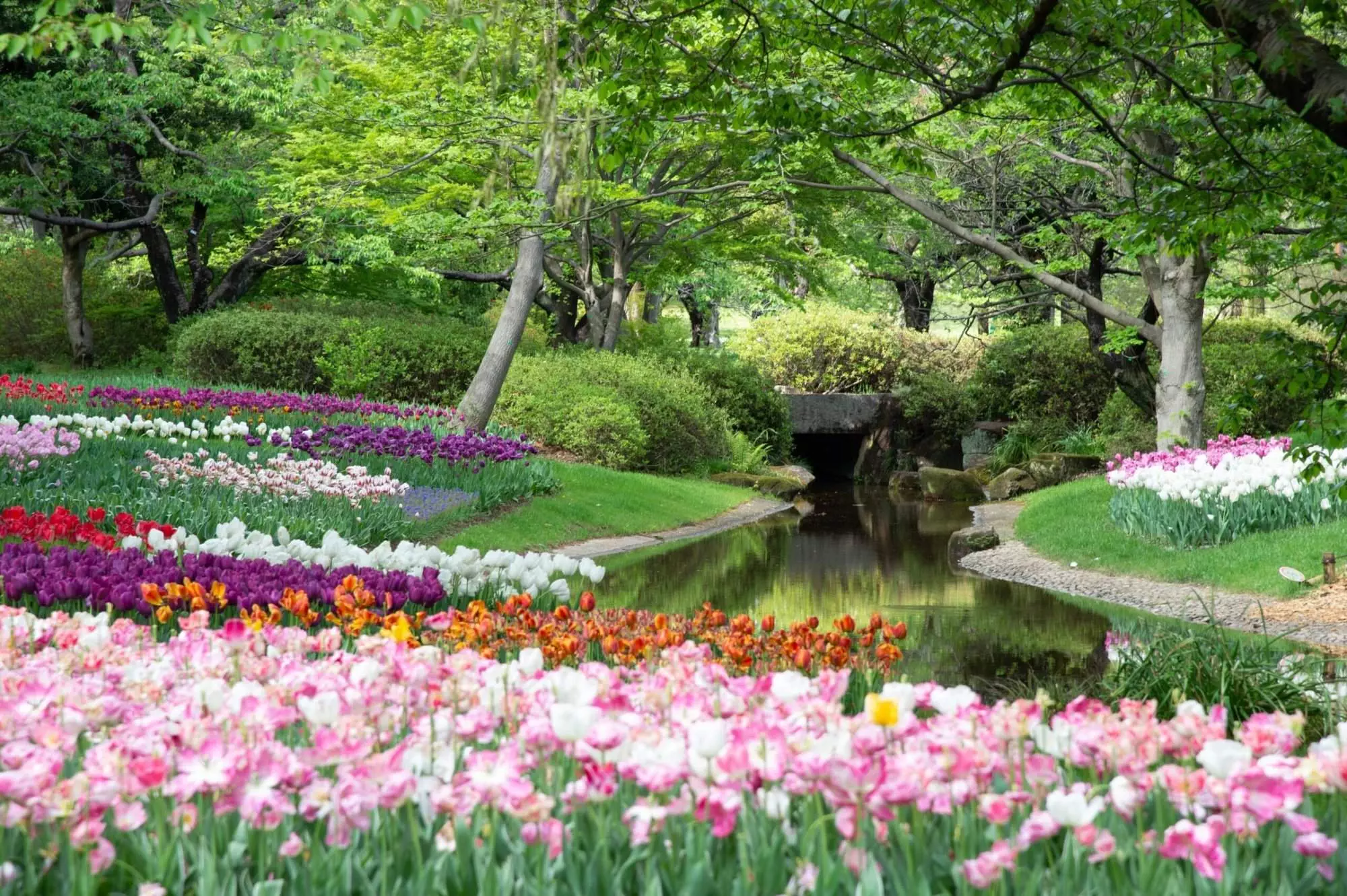places in Tokyo, Showa Kinen Park