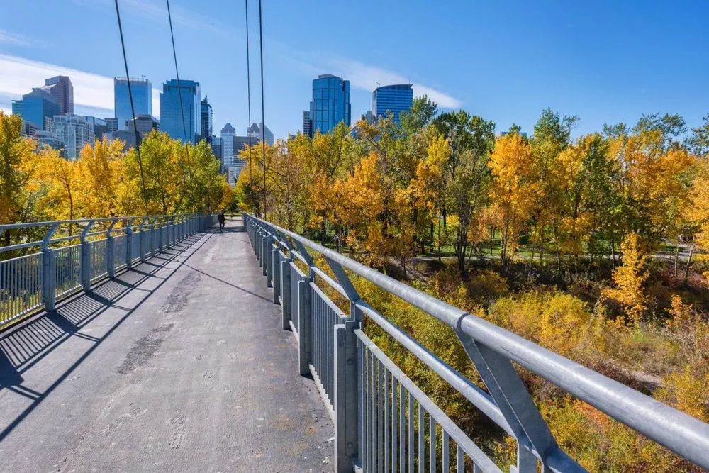 10 Most Beautiful Calgary Gardens To Feast Your Eyes On 5