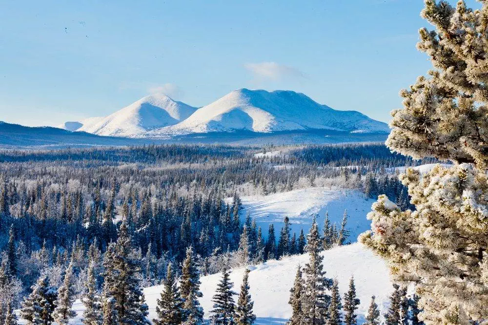 landscape of Yukon Territory, Canada