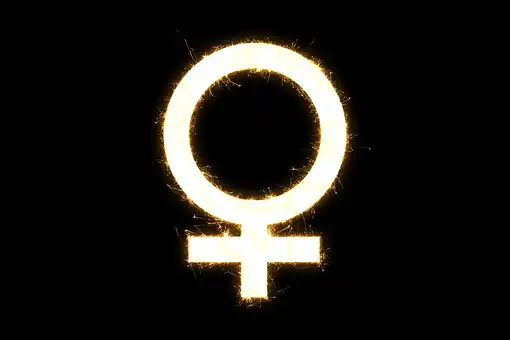 5 Amazing Examples of Constitutional Law Cases in Canada 9 Gender, Equality, Female, Women, Woman