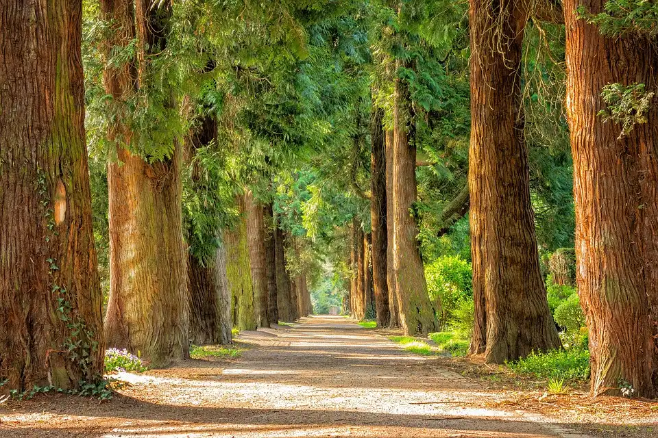 7 Best Things to do at Ferris Provincial Park 10 ferris provincial park