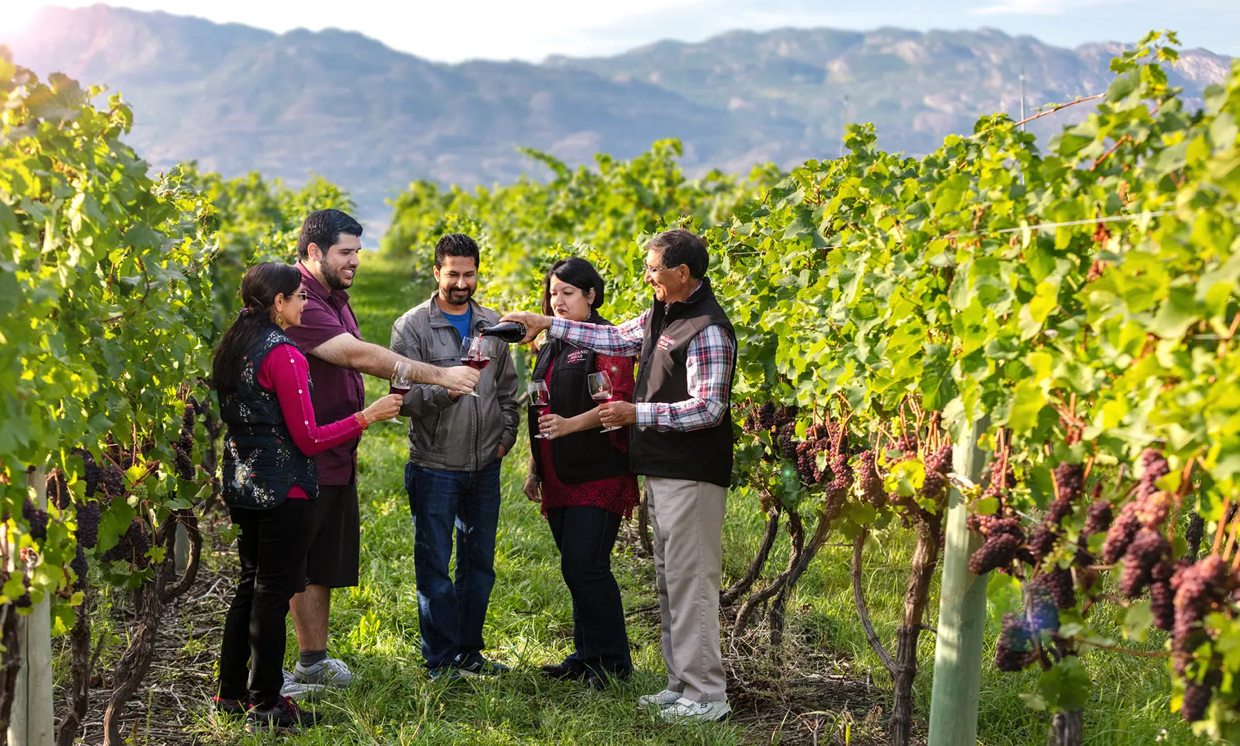 About Us – Volcanic Hills Estate Winery