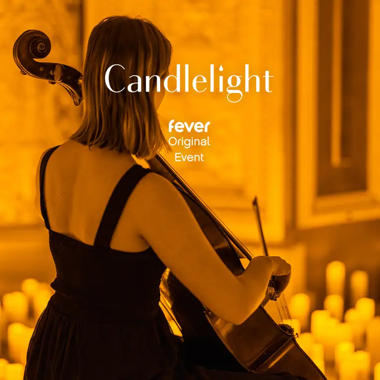 A view of a woman, from behind, wearing a black dress and performing violin in the Candlelight event of Tribute to Taylor Swift.