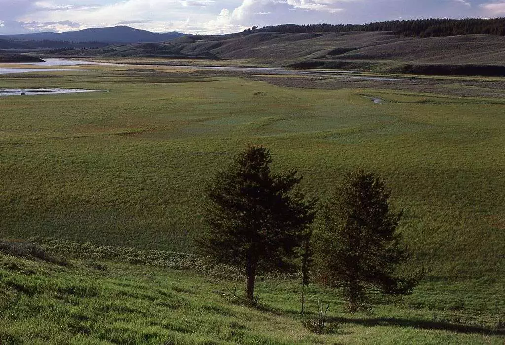 hayden valley