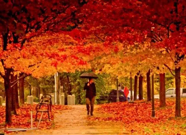Top 25 Reasons to Visit Canada Seasons in Canada