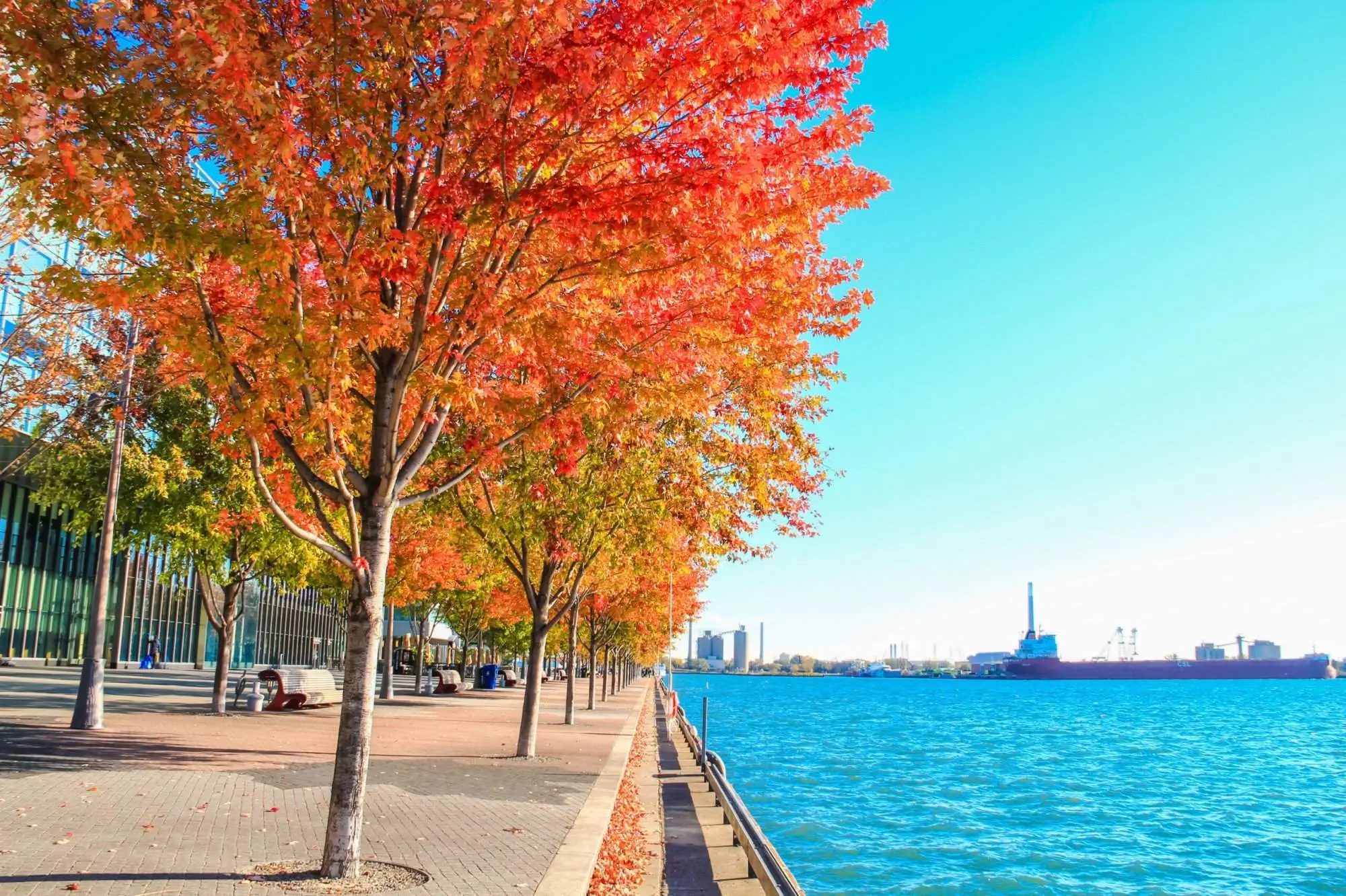 Top 19 Stunning Things To Do In Toronto
