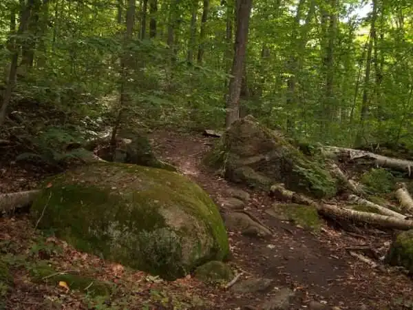Awenda Provincial Park: A Trusty, Complete Guide 2020 8 Awenda_Provincial_Park
