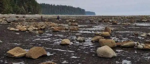 The West Coast Trail: A Perfect Guide to the 13 Campsites 3 West Coast Trail