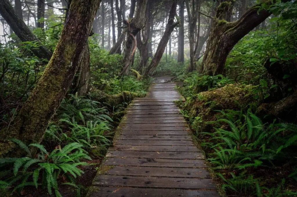West Coast Trail Campsites - An Awesome Hike!