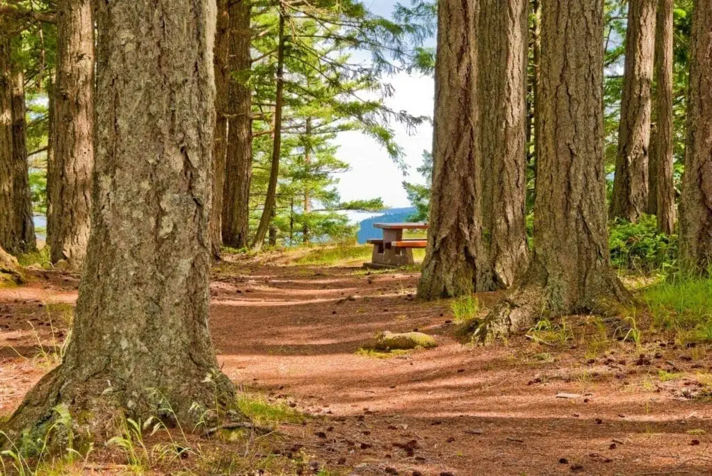 Salt Spring Island - 7 Spectacular Facts Every Visitor Should Know!