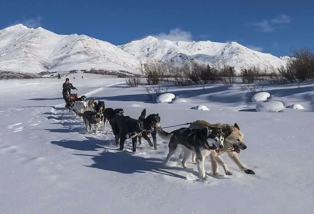 Explore Baffin Island and 8 Best Places Around It!