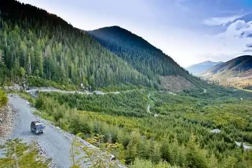 Port Renfrew: 7 Exquisite Places to check out 8 Big Tree Tours