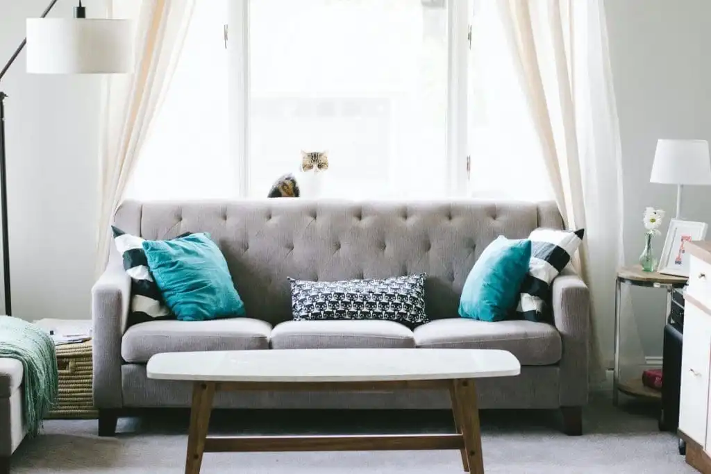 USA vs Canada: How Gambling Can Differ 7 Furniture Stores Ottawa
