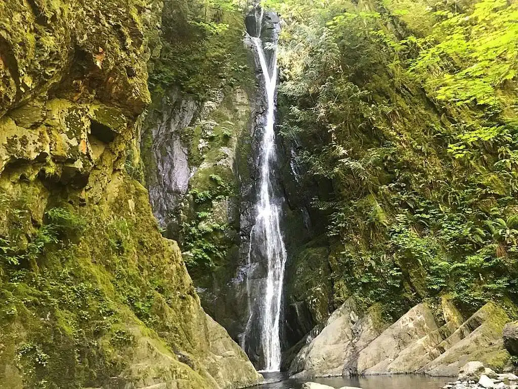 Online Gambling Keeps Growing in Canada 11 Goldstream Provincial Park